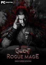 GWENT: Rogue Mage