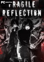 Fragile Reflection