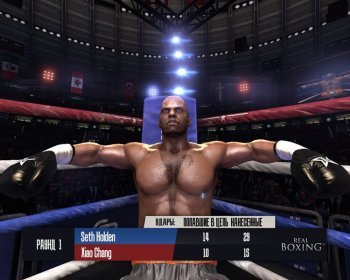 Real Boxing (2014)