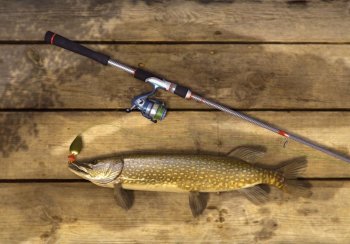 Fishing Planet (2015)