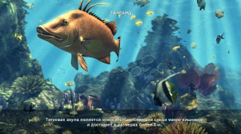 Depth Hunter 2: Deep Dive (2014) PC | RePack by RG Games