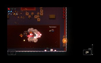 Enter The Gungeon: Collector's Edition [v 2.0.4 + DLC] (2016) PC | 