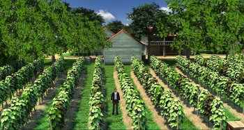 Gold Rush! 2 (2017) PC | 