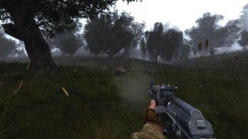 S.T.A.L.K.E.R.: Lost Alpha. Developer's Cut [1.4007] (2017) PC | Repack  SeregA-Lus