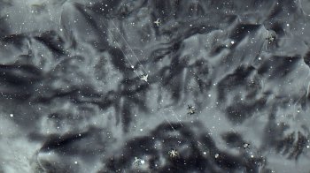 Angel Flare (2017) PC | 