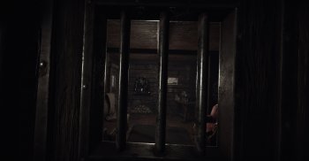 Curious Cases (2019) PC | 