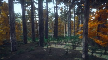 M&#197;RD (2019) PC | 