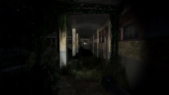 Pulang Insanity - Director's Cut