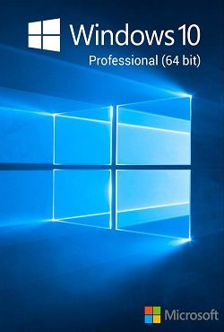 Windows 10 Pro 2025 x64 bit Rus 
