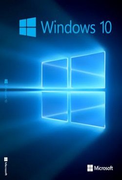 Windows 10 Professional x64 Rus  2025