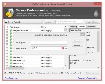 Recuva Professional 1.53.1087  