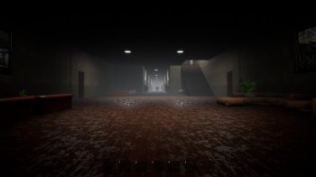 The Sight in a mirror