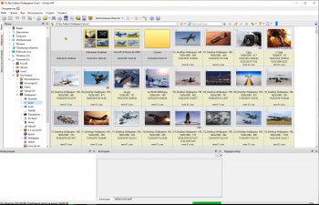 XnViewMP 0.99.0  + Portable