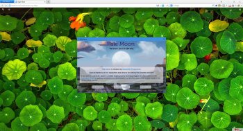 Pale Moon 29.4.1  + Portable