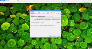 Pale Moon 29.4.1  + Portable