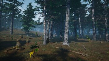 Mushroom Picker Simulator