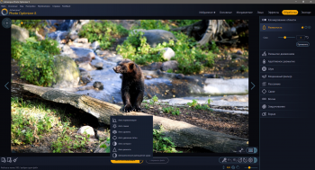 Ashampoo Photo Optimizer 8.2.3.24 (2020)