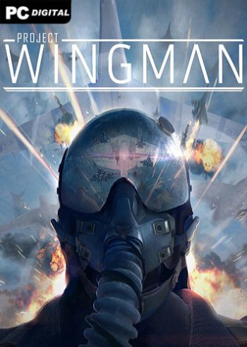 Project Wingman