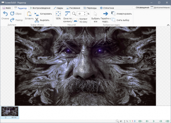 ScreenToGif 2.34 Portable