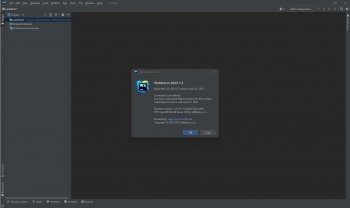 JetBrains WebStorm 2022.1.3