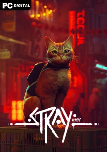 Stray