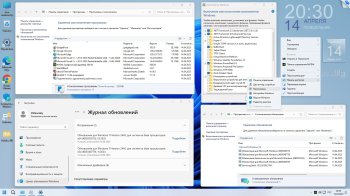 Windows 11 Professional Rus 2025  
