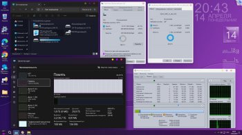 Windows 11 Professional Rus 2025  