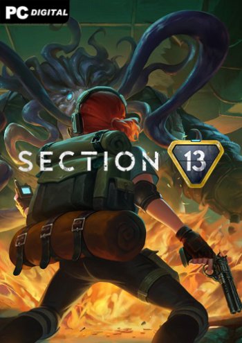 Section 13